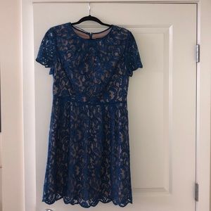 Blue Lace Adrianna Papell Dress - size 12